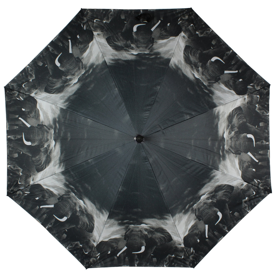 Big umbrella