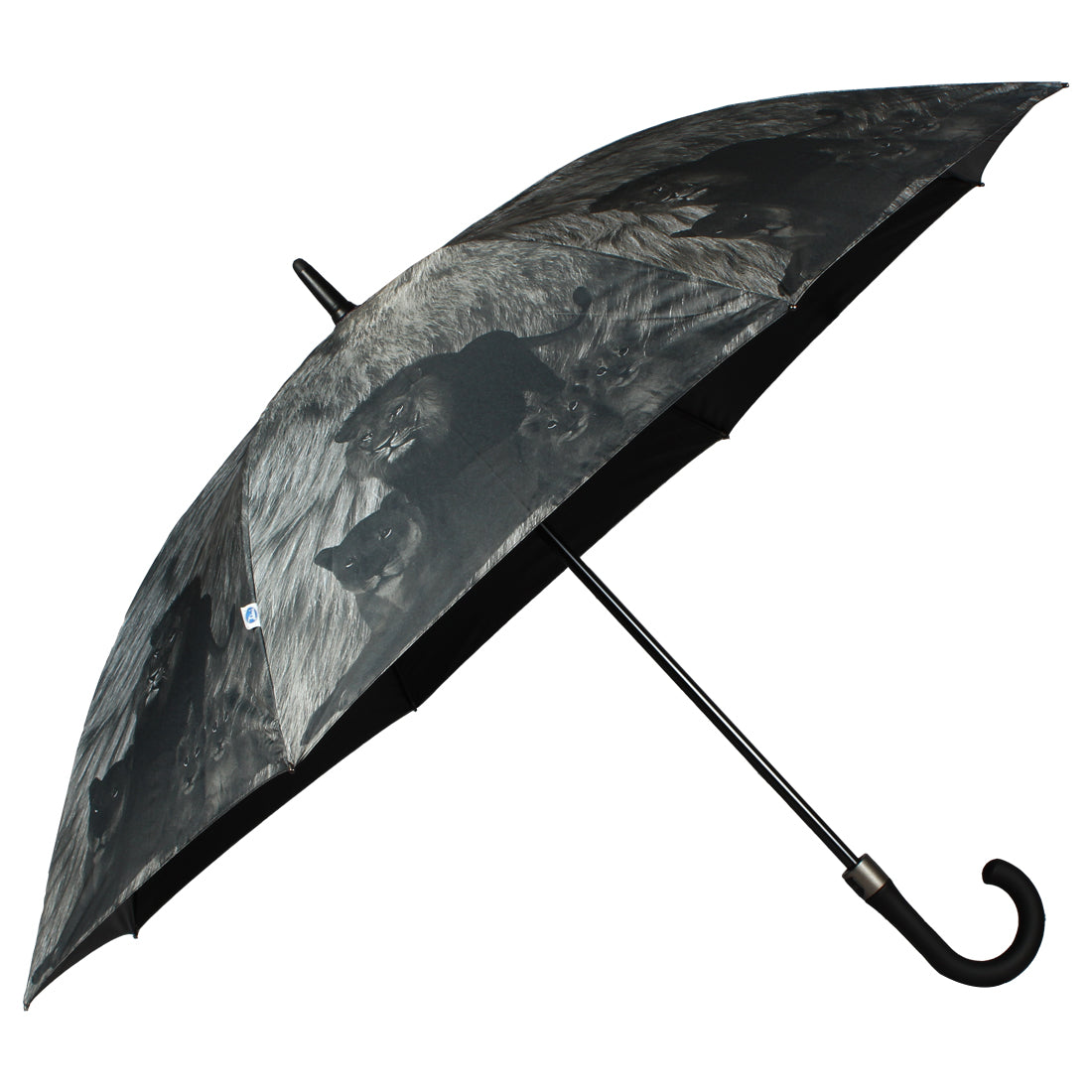 Happy umbrellas