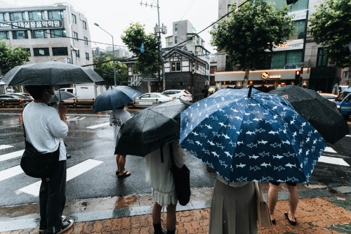 How to Choose Between Straight, Foldable, and Pocket Umbrellas
