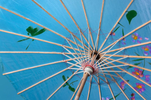 Cultural Significance of Umbrellas in Indian Festivals