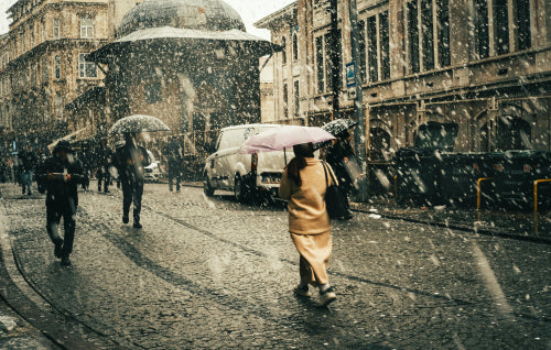 Seasonal Changes in Daily Commute Behavior