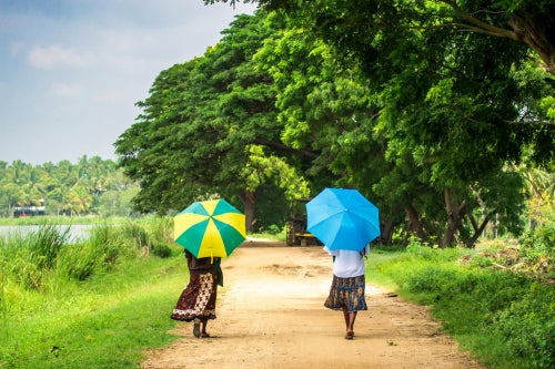 Regional Differences in Umbrella Preferences Across India