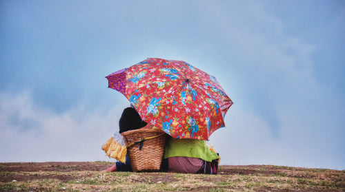 Consumer Insights Into Durable Urban Umbrella Needs
