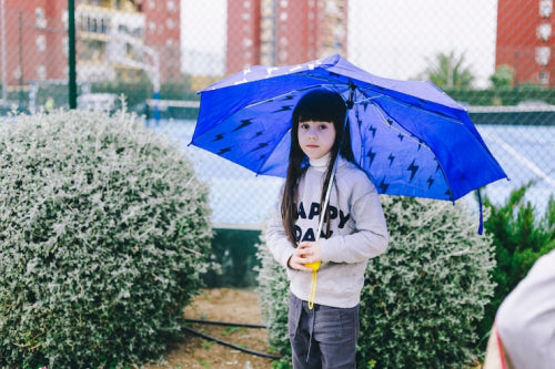 How to Store Umbrellas During Non-Rainy Seasons