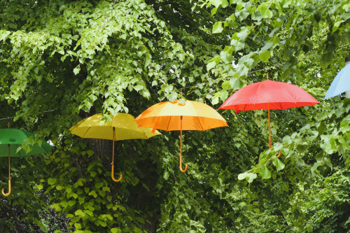 How Dealers Can Choose Fast-Moving Umbrella Styles