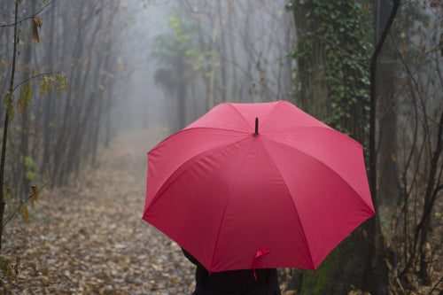 What to Know Before Choosing a Wind-Resistant Umbrella