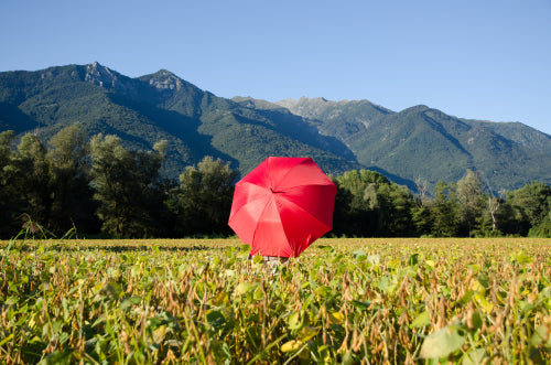 How Climate Change is Influencing Personal Weather Protection Needs