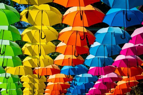 Understanding Buyer Preferences for Color and Design in Rain Gear