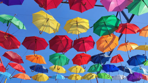 How Collection Variety Helps Match Products to Specific Lifestyles