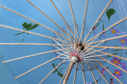 Wind-Resistant Frames Built for Variable Monsoon Seasons