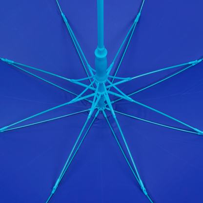 Blue color umbrella 