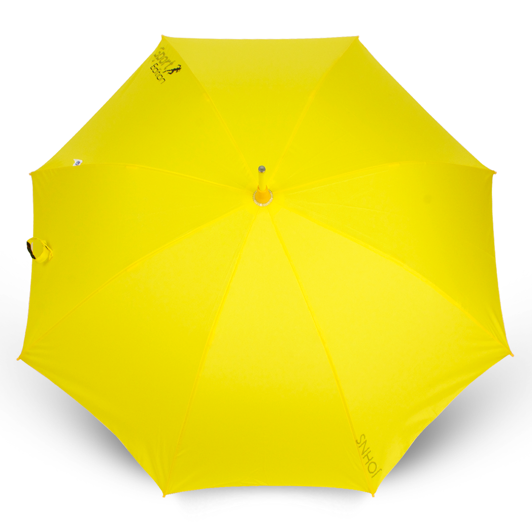 Fancy  umbrella 