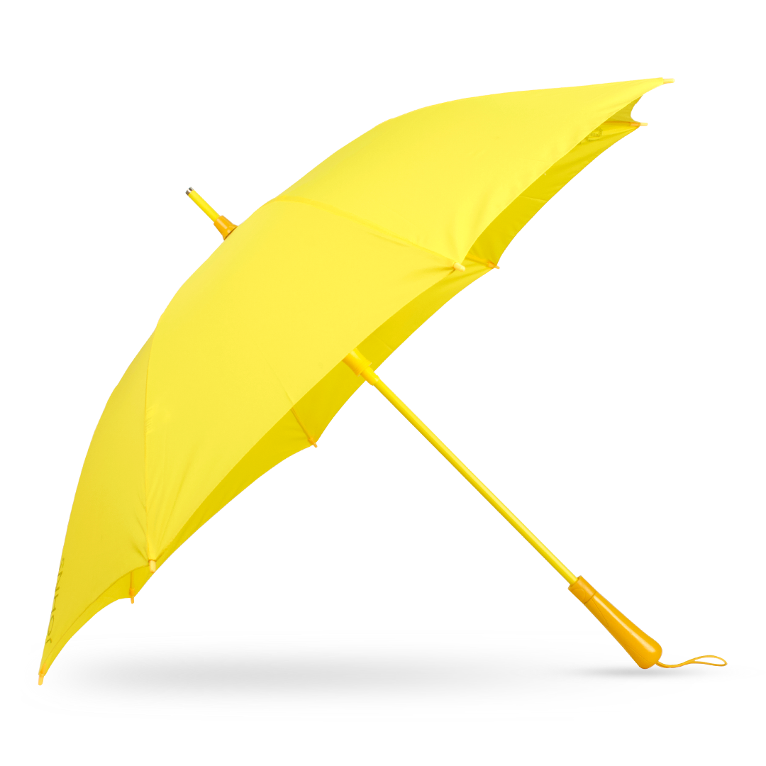 Fashion umbrella