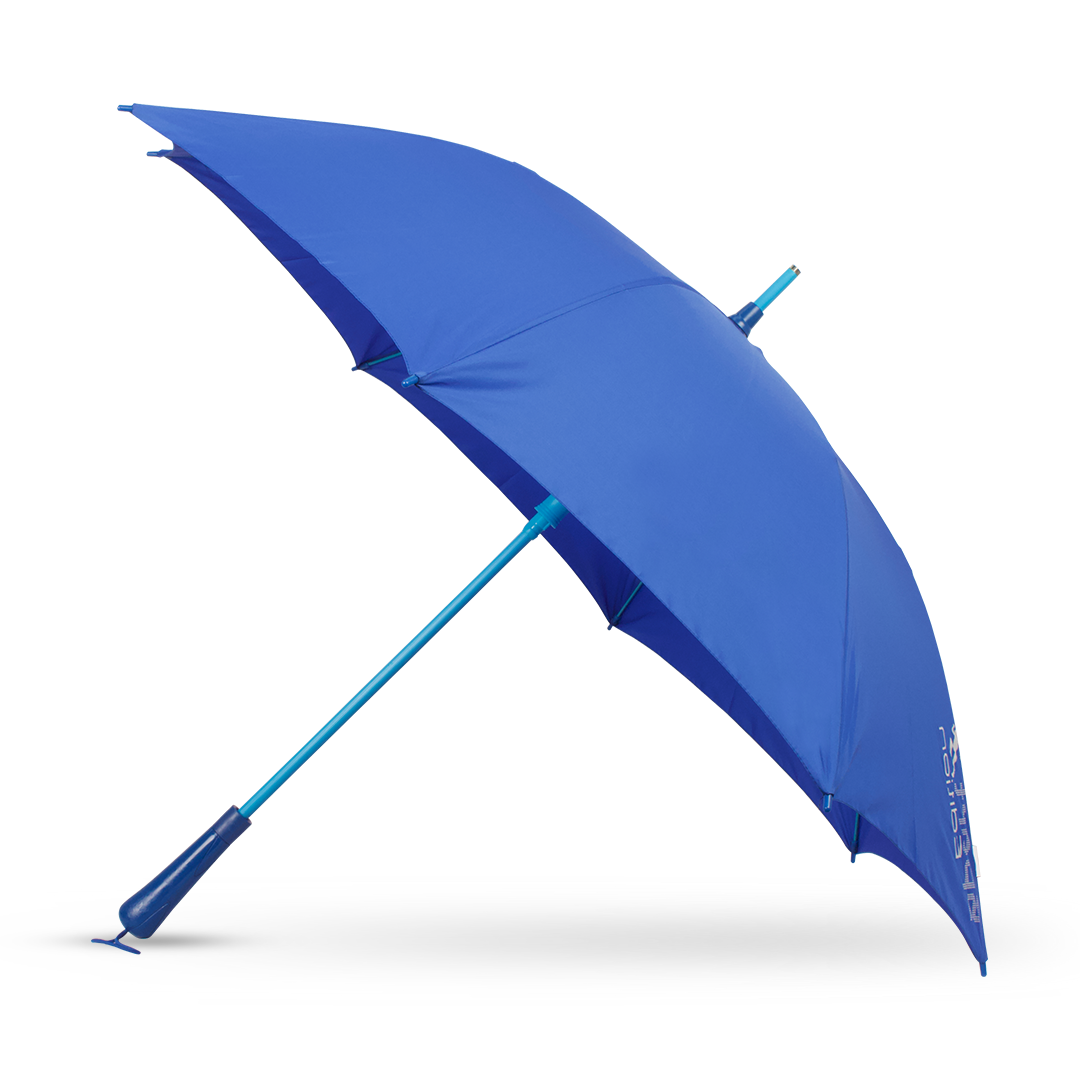 Umbrellas in the rain 
