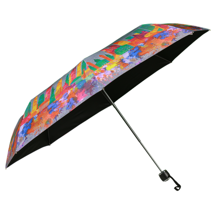 Best Compact umbrella 