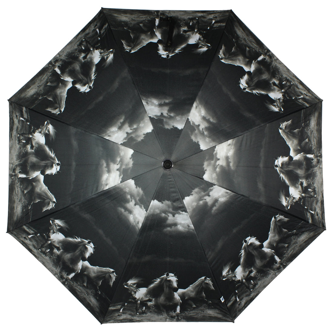 Black umbrellas long