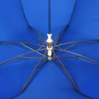 Dark Blue color umbrella 