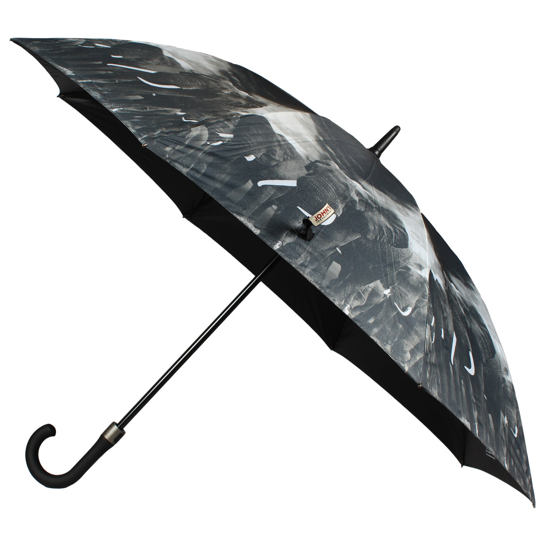 Large umbrella print