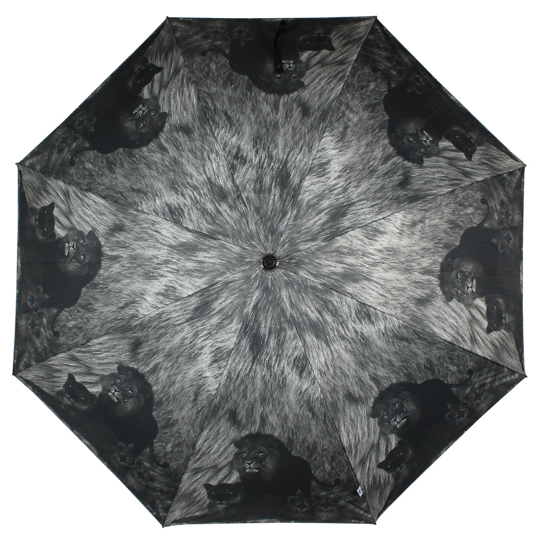 long printed umbrella