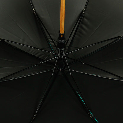 best travel umbrella 