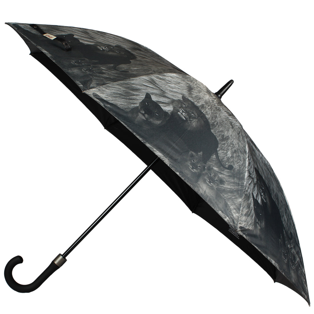 long umbrella price